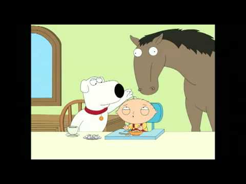 why do horses like sugar cubes